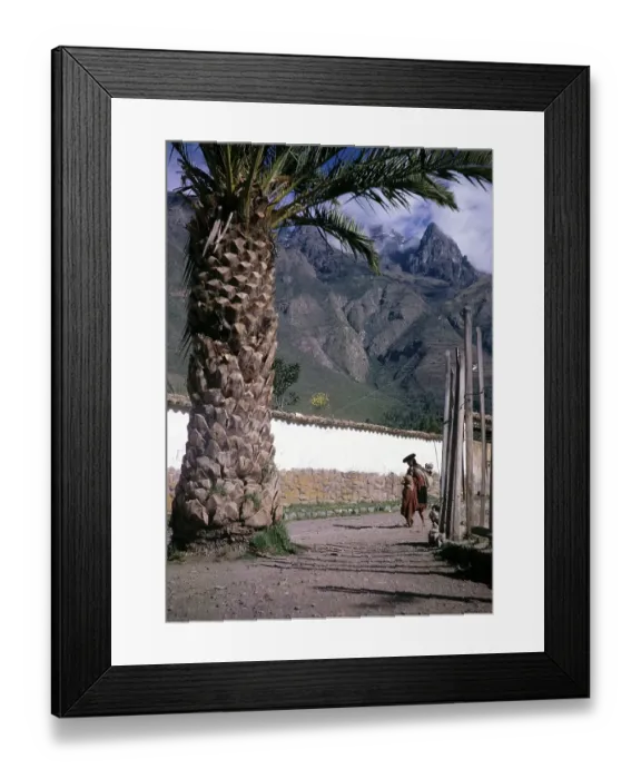 Framed Print : Woman carrying infant and walking past palm tree with child, Calca, Cusco region, Peru, South America, 1962, South America