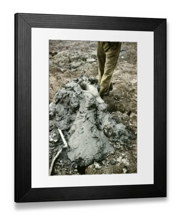 Framed Print : Pile of tar at Lake Pechsee Trinidad around 1962