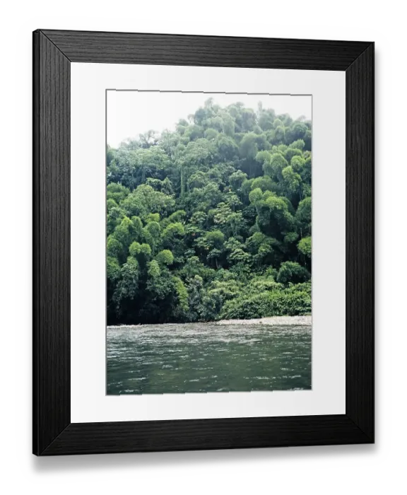 Framed Print : Tropical rainforest vegetation and river, the Blue Mountains, Jamaica, West Indies 1970, Central America Framed Print : Tropical rainforest vegetation and river, the Blue Mountains, Jamaica, West Indies 1970, Central America