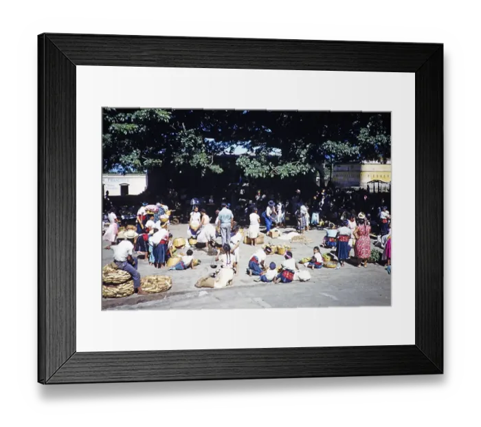 Framed Print : Village market under the sacred Ceiba tree (Ceiba pentandra), Palin, Guatemala around 1961 Framed Print : Village market under the sacred Ceiba tree (Ceiba pentandra), Palin, Guatemala around 1961