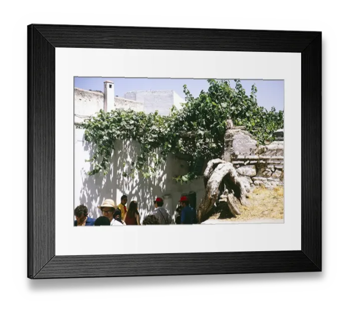 Framed Print : Tour group visits a 400-year-old vineyard, Moulay Idriss Zerhoun, Morocco, North Africa, 1971, Africa Framed Print : Tour group visits a 400-year-old vineyard, Moulay Idriss Zerhoun, Morocco, North Africa, 1971, Africa
