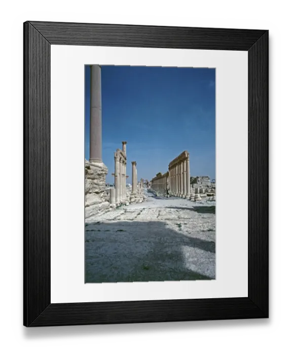 Framed Print : Colonnade, Palmyra, Syria, May 1987, vintage, retro, old, historical, Asia Framed Print : Colonnade, Palmyra, Syria, May 1987, vintage, retro, old, historical, Asia