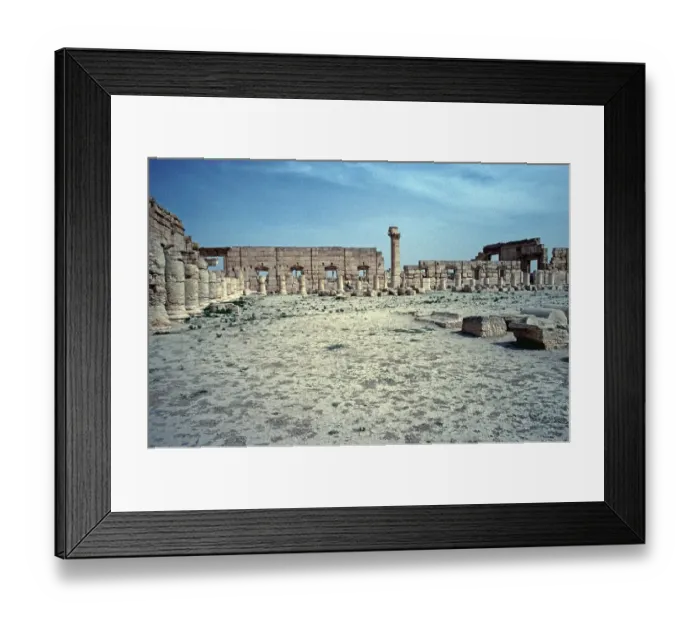Framed Print : Agora, marketplace, Palmyra, Syria, May 1987, vintage, retro, old, historical, Asia Framed Print : Agora, marketplace, Palmyra, Syria, May 1987, vintage, retro, old, historical, Asia