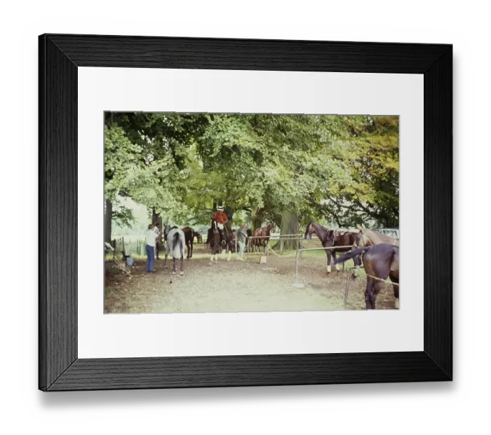 Framed Print : Polo match between horses and grooms Cirencester, Gloucestershire, England, UK 1967