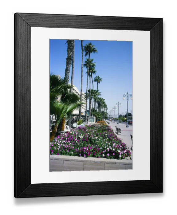 Framed Print : Flower beds along the beach promenade in Larnaca, Cyprus, 1998, Europe Framed Print : Flower beds along the beach promenade in Larnaca, Cyprus, 1998, Europe