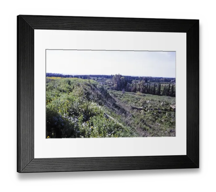 Framed Print : Prehistoric archaeological site in Ugarit, Syria, 1998 Overview of the site, Asia Framed Print : Prehistoric archaeological site in Ugarit, Syria, 1998 Overview of the site, Asia