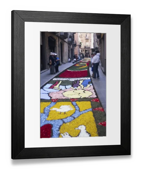 Framed Print : Mat of flowers on the street to celebrate Corpus Christi, Girona, Catalonia, Spain, Europe
