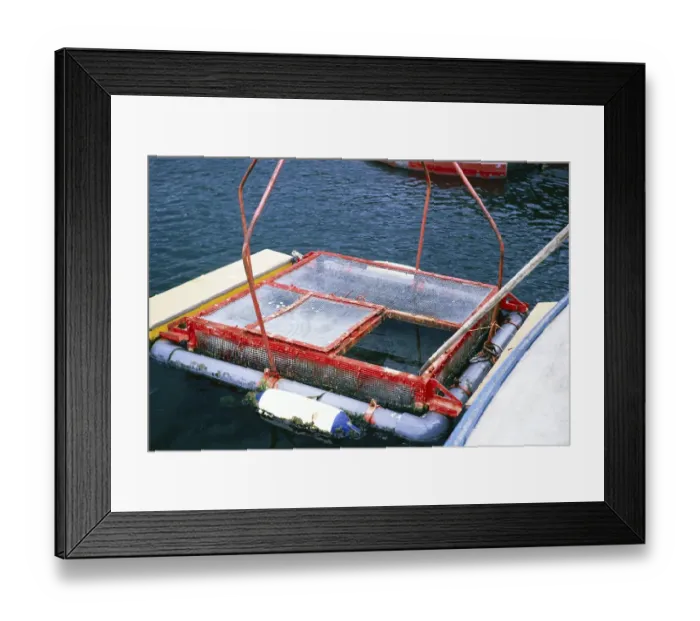 Framed Print : Fisheries Marine Research Laboratory, Ardtoe, Acharacle, Scotland Photo from 1971