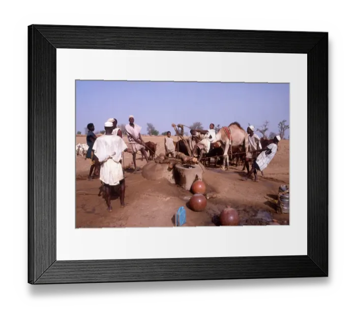 Framed Print : Life in the Sahel region of northern Nigeria, west Africa, early 1980s - men drawing water from a well Framed Print : Life in the Sahel region of northern Nigeria, west Africa, early 1980s - men drawing water from a well