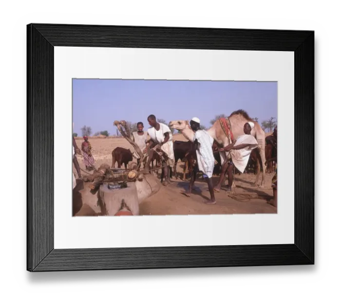 Framed Print : Life in the Sahel region of northern Nigeria, west Africa, early 1980s - men drawing water from a well Framed Print : Life in the Sahel region of northern Nigeria, west Africa, early 1980s - men drawing water from a well