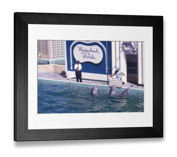 Framed Print : Marineland of Florida Aquarium-Show mit Delfinen, Florida, USA, 1969, North America