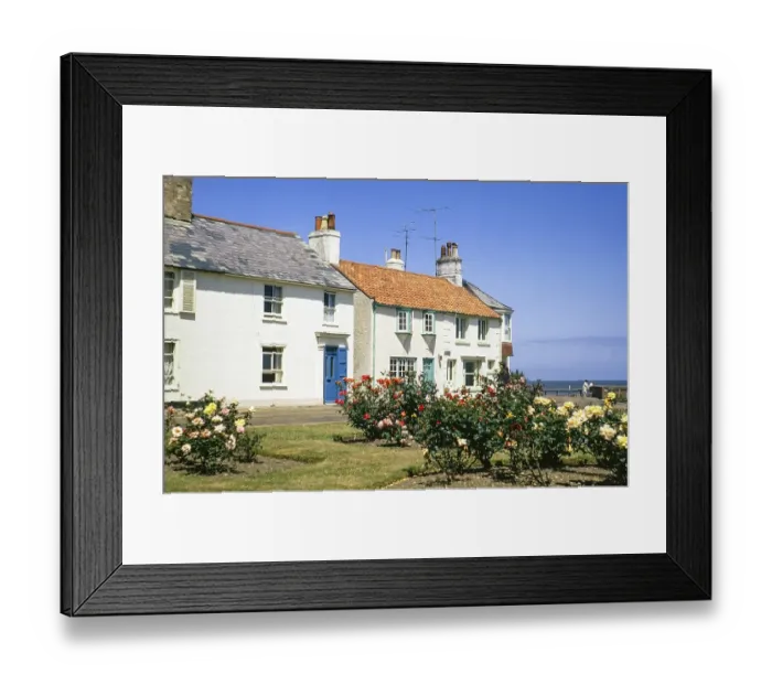 Framed Print : Huebsches historisches Kuestenhaeuschen und Rosenstraeucher, Southwold, Suffolk, England, UK Juli 1971