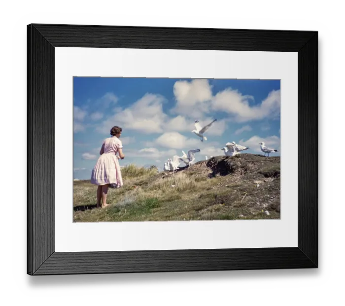 Framed Print : Teenager-Maedchen junge Frau fuettert Moewen im Sommerurlaub, 1961