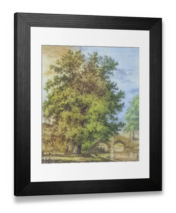 Framed Print : Famous old trees, The Black Poplar in Bury St. Edmund's, England, Historical, digitally restored reproduction from a 19th century original, coloured, Record date not stated