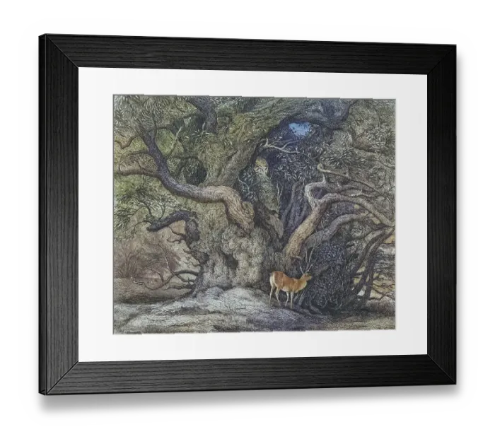 Framed Print : Famous old trees, The Tortworth Chestnut, The Tortworth Chestnut is an ancient sweet chestnut (Castanea sativa) in Tortworth, South Gloucestershire. The exact age of the tree is not known, but various sources provide estimates Framed Print : Famous old trees, The Tortworth Chestnut, The Tortworth Chestnut is an ancient sweet chestnut (Castanea sativa) in Tortworth, South Gloucestershire. The exact age of the tree is not known, but various sources provide estimates