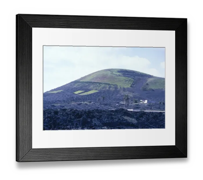 Framed Print : Grapes in a vineyard with black volcanic rock, La Geria, Lanzarote, Canary Islands, Spain, Europe Framed Print : Grapes in a vineyard with black volcanic rock, La Geria, Lanzarote, Canary Islands, Spain, Europe
