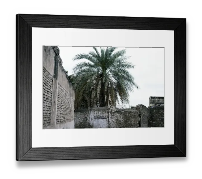 Framed Print : Historic buildings in the old town of Zebid, Zabid, Yemen 1998 UNESCO World Heritage Site Framed Print : Historic buildings in the old town of Zebid, Zabid, Yemen 1998 UNESCO World Heritage Site