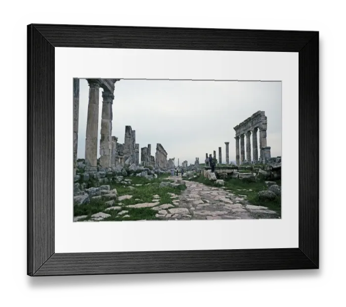 Framed Print : Ruins of Roman buildings at the archaeological site of Apamea, Syria, 1998, Asia