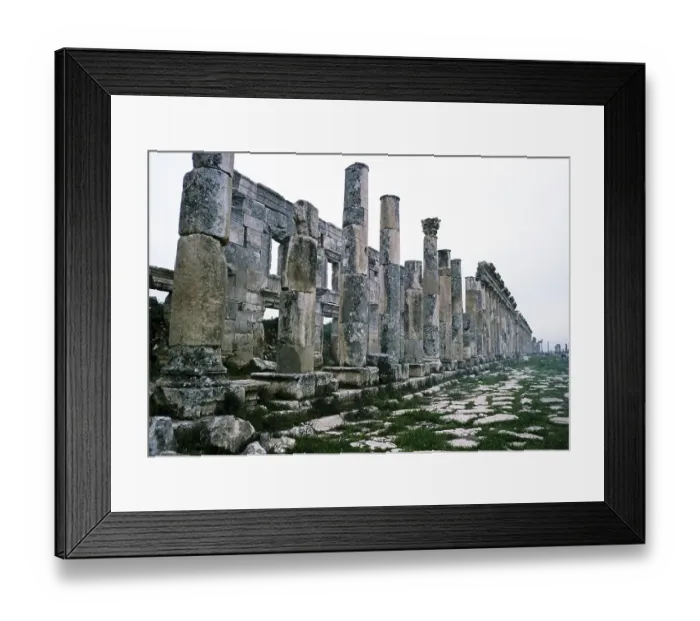 Framed Print : Ruins of Roman buildings at the archaeological site of Apamea, Syria, 1998, Asia