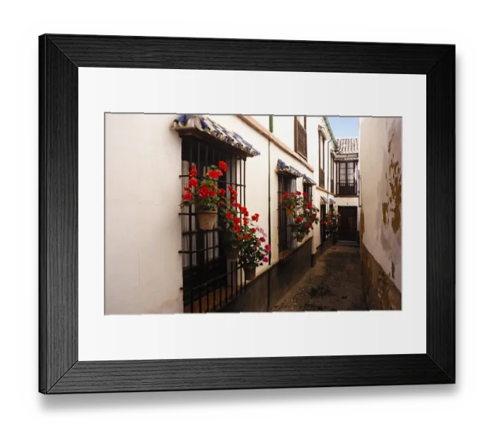 Framed Print : Geraniums in pots in front of houses in a narrow street of the historic old town, Ronda, Andalusia, Spain, Europe