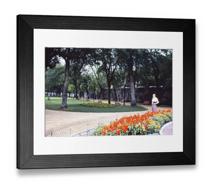 Framed Print : Man posing in a flower garden in Saint Paul les Dax, Landes, France 1973 Framed Print : Man posing in a flower garden in Saint Paul les Dax, Landes, France 1973