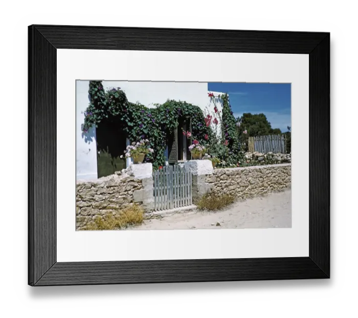 Framed Print : Huebsches, attraktives Haus mit bluehender Virginia-Kriechpflanze, Insel Ibiza, Balearen, Spanien, 1950er Jahre
