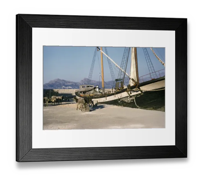 Framed Print : Mit Maultieren beladenes hoelzernes Segelschiff im Hafen von Calvi, Korsika, Frankreich, Ende der 1950er Jahre Framed Print : Mit Maultieren beladenes hoelzernes Segelschiff im Hafen von Calvi, Korsika, Frankreich, Ende der 1950er Jahre