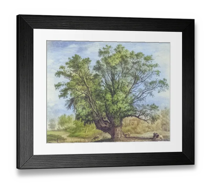 Framed Print : Famous Old Trees, The Abbot's Willow, England, Historical, digitally restored reproduction from a 19th century original, coloured, Record date not stated