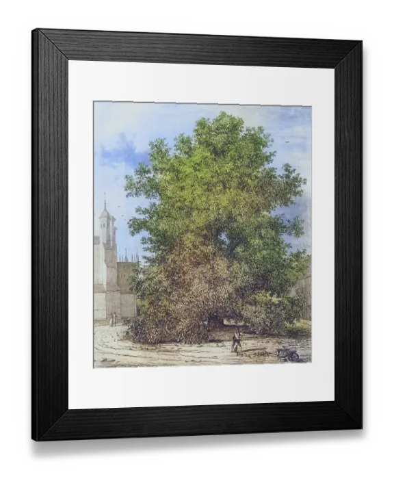Framed Print : Famous old trees, The Horse Chestnut in Burleigh, England, Historical, digitally restored reproduction from a 19th century original, coloured, Record date not stated Framed Print : Famous old trees, The Horse Chestnut in Burleigh, England, Historical, digitally restored reproduction from a 19th century original, coloured, Record date not stated