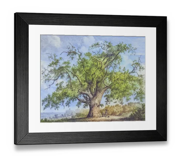 Framed Print : Famous Old Trees, The Tutbury Wych Elm, England, Historical, digitally restored reproduction from a 19th century original, coloured, Record date not stated
