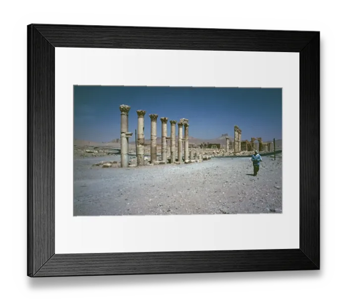 Framed Print : Road from Hadrian's Gate to the Temple of Bel, Colonnade, Palmyra, Syria, May 1987, vintage, retro, old, historical, Asia