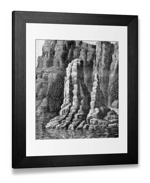 Framed Print : Bird cliff at the North Cape, cliff with flock of birds, geography, Norway, historical illustration 1888, Europe
