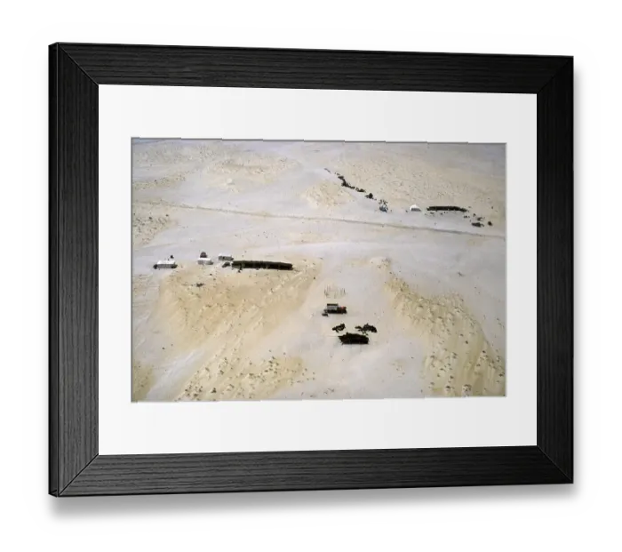 Framed Print : Nomadic cattle breeding with a shade tent for camels, sheep and goats in the desert, Saudi Arabia 1979 Framed Print : Nomadic cattle breeding with a shade tent for camels, sheep and goats in the desert, Saudi Arabia 1979