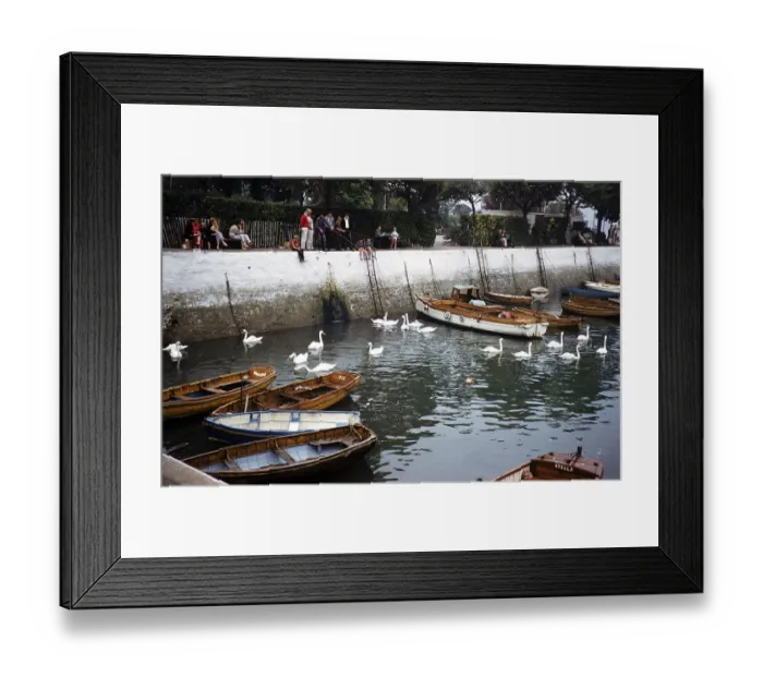 Framed Print : People fishing on the quay, swans and rowing boats in the water of the harbour, Dartmouth, Devon, England, Great Britain, early 1960s