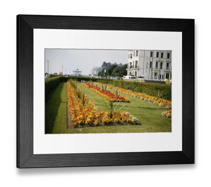 Framed Print : Flowerbeds and gardens, The Leas Promenade, Folkestone, Kent, England, UK, 1962 View to the west Framed Print : Flowerbeds and gardens, The Leas Promenade, Folkestone, Kent, England, UK, 1962 View to the west