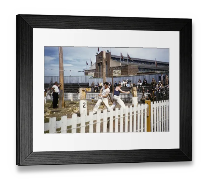 Framed Print : Wood chopping competition, Royal Melbourne Show, Ascot Vale, Melbourne, Victoria, Australia 1956