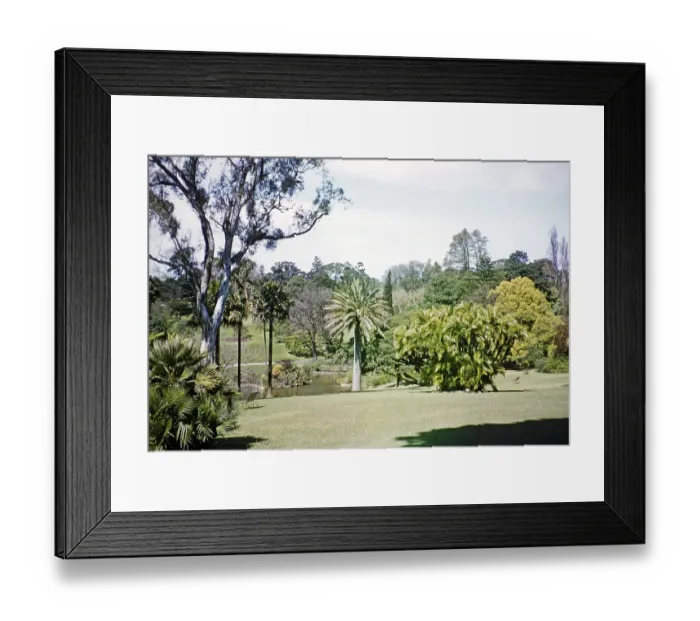 Framed Print : Royal Botanic Gardens Victoria, Melbourne, Victoria, Australia, 1956, Oceania