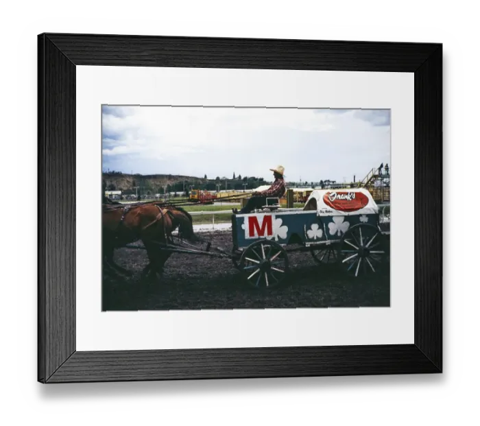 Framed Print : Calgary Exhibition and Stampede, Canada in the late 1970s or early 1980s Chuckwagon racer Stu Napper