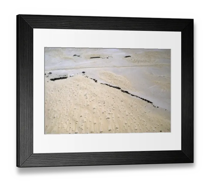Framed Print : Nomadic cattle breeding with a shade tent for camels, sheep and goats in the desert, Saudi Arabia 1979