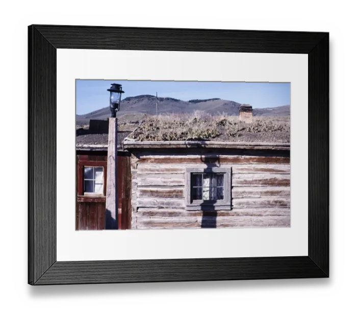 Framed Print : Nevada City historic ghost town, Montana, USA Cactus plants grow on the roof of an old wooden building Framed Print : Nevada City historic ghost town, Montana, USA Cactus plants grow on the roof of an old wooden building