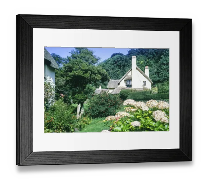 Framed Print : Thatched cottages in Selworthy, Somerset, England UK autumn 1968
