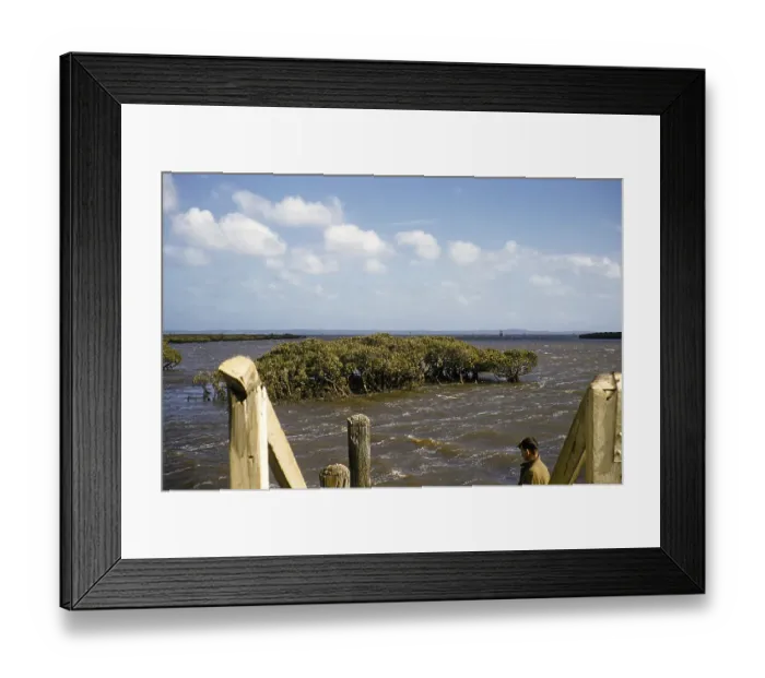 Framed Print : This is thought to be related to the extensive flooding on the Murray River, Victoria, Australia in 1956, the year known as the Big Wet Framed Print : This is thought to be related to the extensive flooding on the Murray River, Victoria, Australia in 1956, the year known as the Big Wet