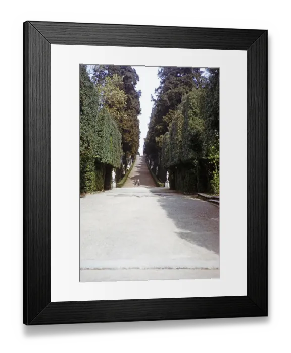 Framed Print : Viale dei Cipressi, Cypress Avenue, Viottolone Boulevard, Boboli Gardens, Florence, Tuscany, Italy 1957 Framed Print : Viale dei Cipressi, Cypress Avenue, Viottolone Boulevard, Boboli Gardens, Florence, Tuscany, Italy 1957