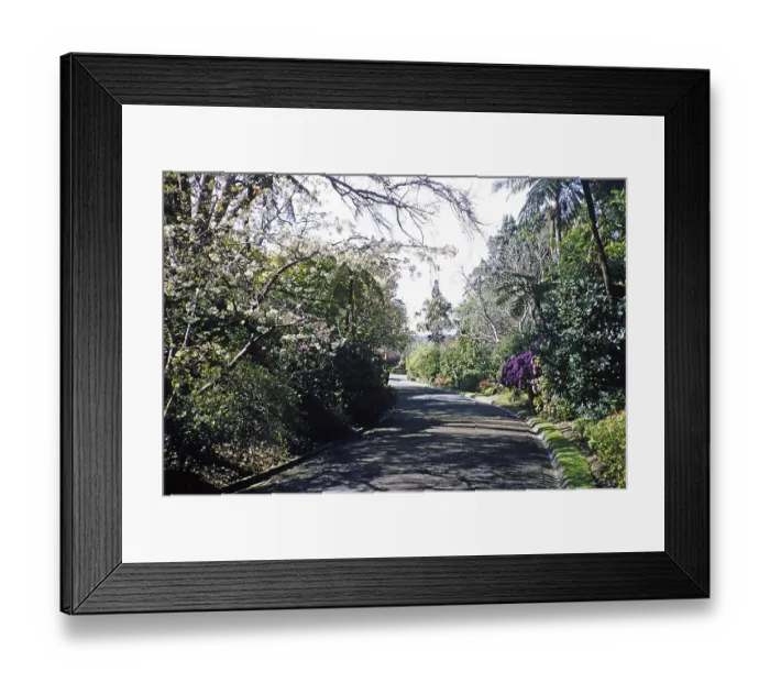 Framed Print : Royal Botanic Gardens Victoria, Melbourne, Victoria, Australia, 1956, Oceania