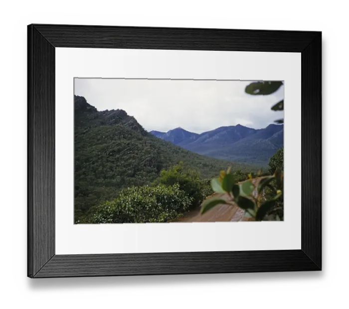 Framed Print : Forested mountain landscape of the Grampians National Park, Victoria, Australia, 1956, Oceania