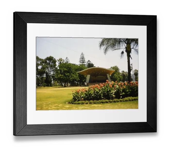 Framed Print : Presumably Kings Park and Botanic Gardens, Perth, Western Australia, Australia 1956 Framed Print : Presumably Kings Park and Botanic Gardens, Perth, Western Australia, Australia 1956
