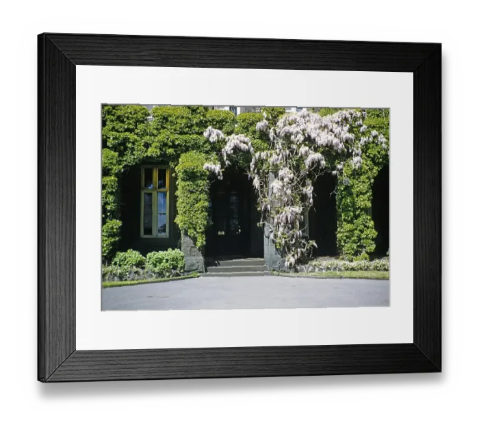 Framed Print : Melbourne Grammar School building, Melbourne, Victoria, Australia 1956 flowering wisteria