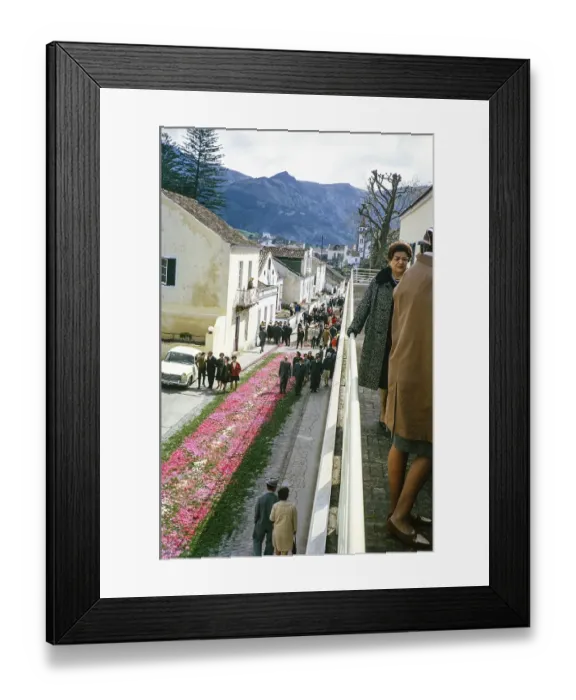 Framed Print : Laying out plants and flowers for a religious street procession, Furnas, Sao Miguel Island, Azores, Portugal, April 1964, Europe