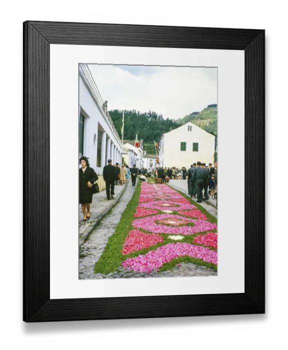 Framed Print : Laying out plants and flowers street religious procession, Procissao de Senhor de Infernos, Furnas, Sao Miguel Island, Azores, Portugal, April 1964, Europe Framed Print : Laying out plants and flowers street religious procession, Procissao de Senhor de Infernos, Furnas, Sao Miguel Island, Azores, Portugal, April 1964, Europe