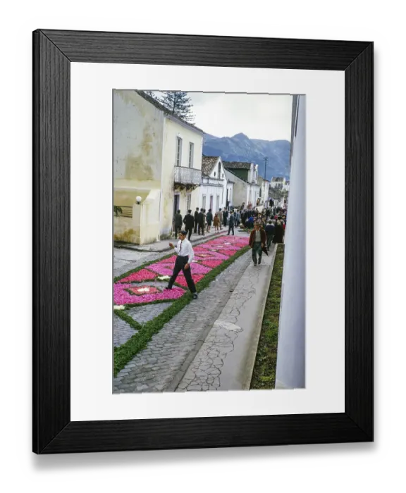 Framed Print : Laying out plants and flowers street religious procession, Procissao de Senhor de Infernos, Furnas, Sao Miguel Island, Azores, Portugal, April 1964, Europe Framed Print : Laying out plants and flowers street religious procession, Procissao de Senhor de Infernos, Furnas, Sao Miguel Island, Azores, Portugal, April 1964, Europe